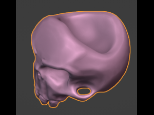 Skull 3D 模型