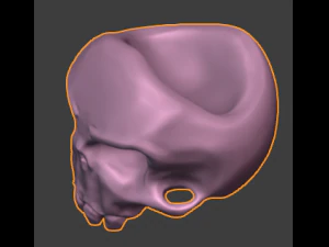 Skull 3D Model