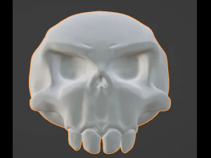 Skull 3D Model
