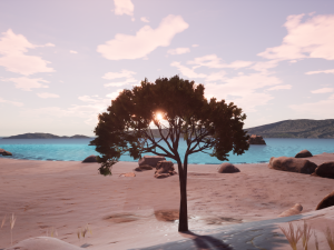 italian stone pine - pinus pinea and pinaster 3D मॉडल
