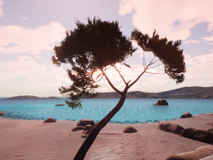italian stone pine - pinus pinea and pinaster 3D मॉडल