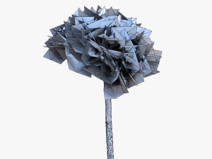 italian stone pine - pinus pinea and pinaster 3D मॉडल