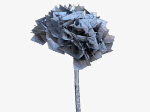 italian stone pine - pinus pinea and pinaster 3D Model