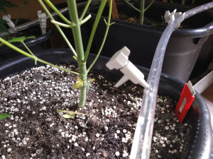 drip irrigation 3D Print Model