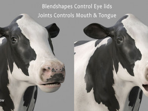 cow pro holstein 3D 模型
