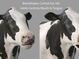 cow pro holstein 3D Model
