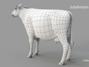 cow pro holstein 3D 模型