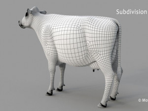 cow pro holstein 3D 模型