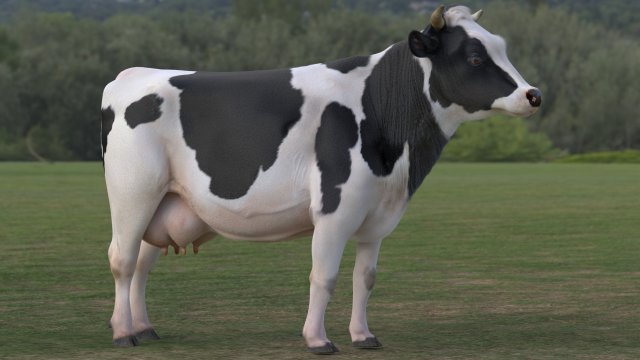 cow pro holstein 3D 模型 .c4d .max .obj .3ds .fbx .stl .blend 