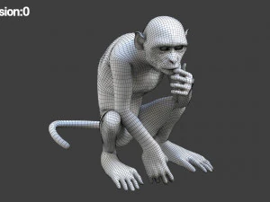 monkey fur rigged 3D Model