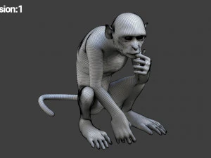 monkey fur rigged 3D Model