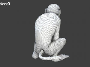 monkey fur rigged 3D Model