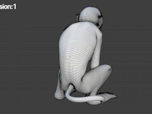 monkey fur rigged Modelo 3D