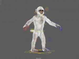 monkey fur rigged 3D Model