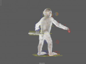monkey fur rigged Modelo 3D