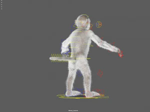 monkey fur rigged 3D Model