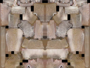 monkey fur rigged 3D Model