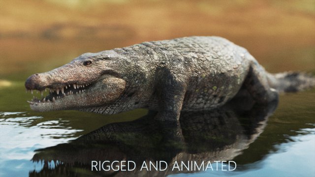crocodile swiming rigged 3Dモデル .c4d .max .obj .3ds .fbx .stl .blend 