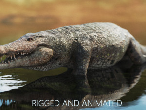 crocodile swiming rigged 3D Model
