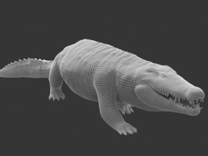 crocodile swiming rigged 3Dモデル