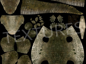 crocodile swiming rigged 3Dモデル