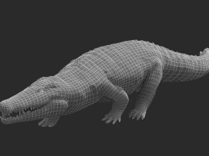 crocodile swiming rigged 3D Model