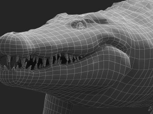 crocodile swiming rigged 3D Model