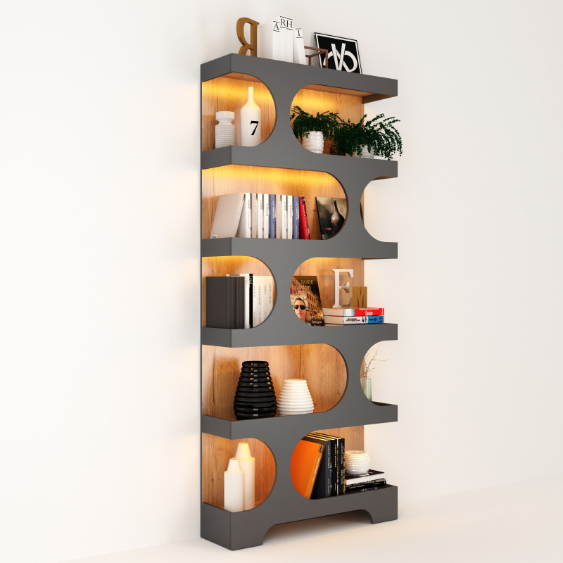 Bookcase Modèle 3D .c4d .max .obj .3ds .fbx .stl .blend 