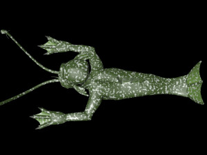 Amphibian man 3D 模型