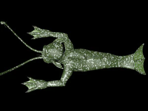 Amphibian man 3D Model