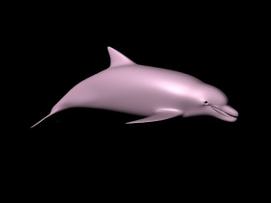 fish Modèle 3D