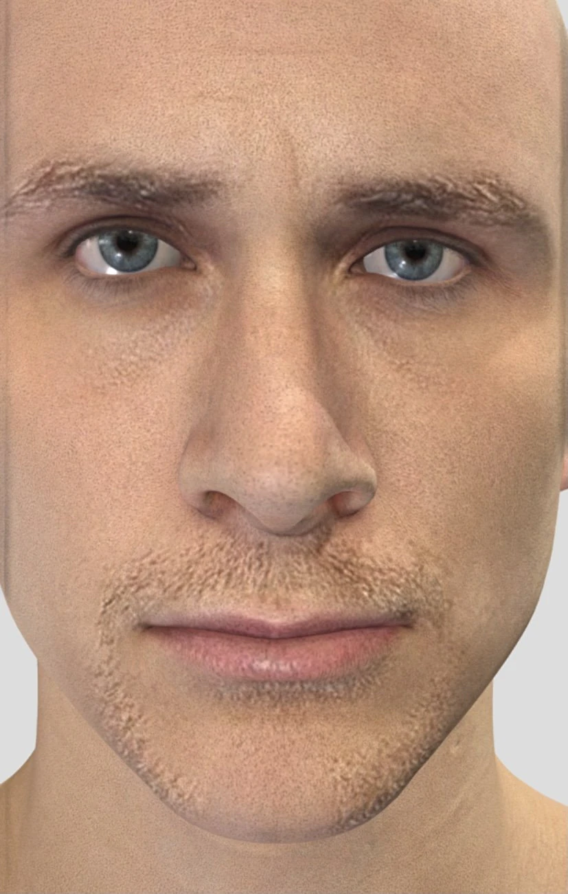 full rigged head face scan 3D Model .c4d .max .obj .3ds .fbx .stl .blend 