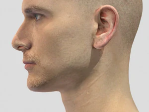 full rigged head face scan 3D Model