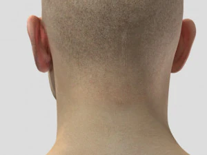 full rigged head face scan 3D Model