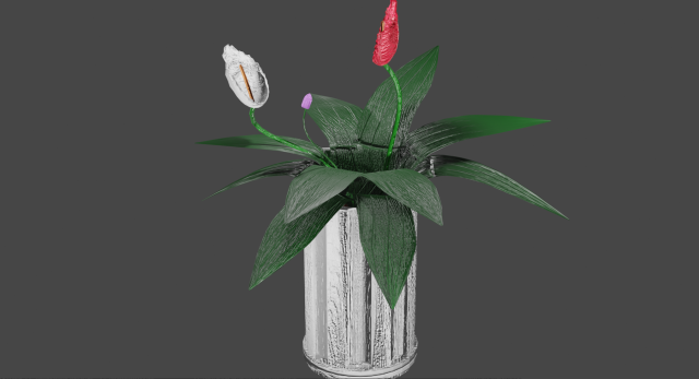 spathiphyllum Model 3D .c4d .max .obj .3ds .fbx .stl .blend 