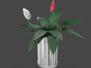 spathiphyllum 3D Model