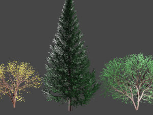tree 3D मॉडल