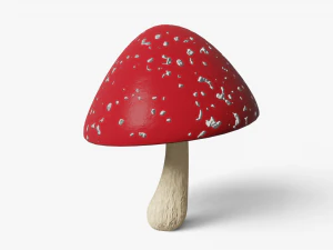 fungo Modello 3D