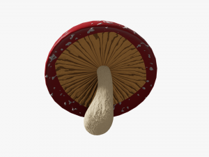 mushroom Model 3D