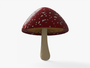 mushroom Model 3D