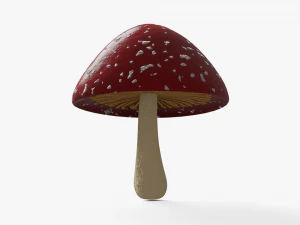 mushroom 3D Model