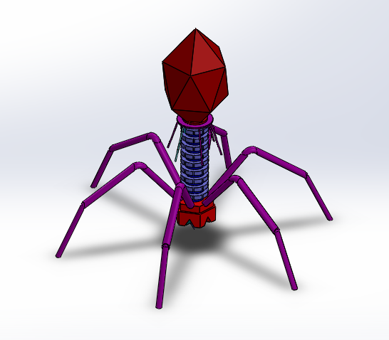 bacteriophage virus 3d