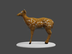 low poly doe 3d 3D Model