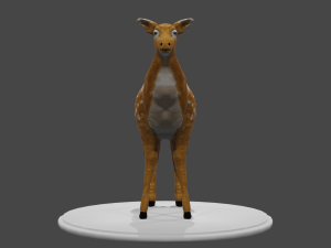low poly doe 3d Modello 3D