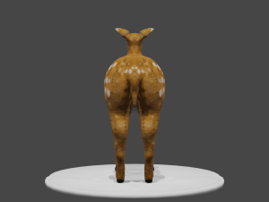 low poly doe 3d Modello 3D