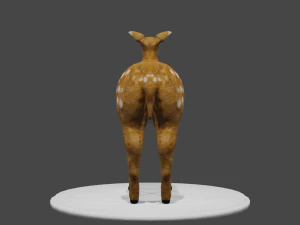 low poly doe 3d 3D Model