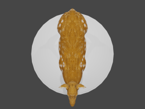 low poly doe 3d Modello 3D