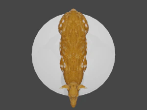 low poly doe 3d 3D Model