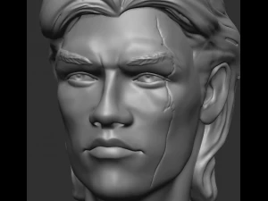 head of man home decor garden vazon 3D Print Model