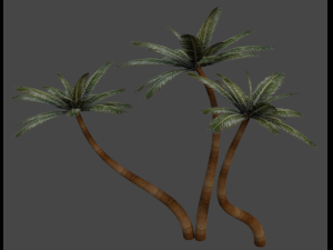 palm trees in the desert 3D Model